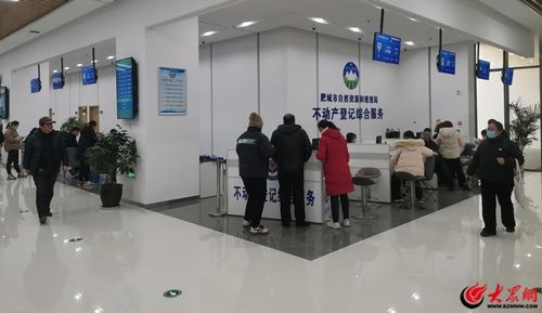 肥城市不動產登記中心 “四個著力”賦能現代服務企業，不動產登記全程提速增效
